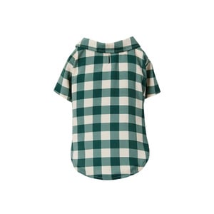 Jack Camisa con Moño Verde, X-Chico Jack Camisa con Moño Verde, X-Chico