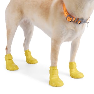 Youly Summer Botas para Lluvia de Silicón para Perro, Chico Youly Summer Botas para Lluvia de Silicón para Perro, Chico