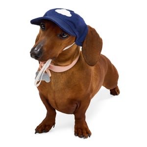 Youly Summer Gorra Color Azul Estampado de Nube para Perro, Chico/Mediano Youly Summer Gorra Color Azul Estampado de Nube para Perro, Chico/Mediano