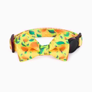 HugSmart Collar con Broche de Seguridad y Moño Patrón Mango para Gatito, Chico HugSmart Collar con Broche de Seguridad y Moño Patrón Mango para Gatito, Chico