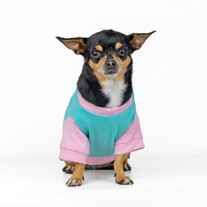 Dogtlan Playera Hug Me Aqua para Perro, X-Chico Dogtlan Playera Hug Me Aqua para Perro, X-Chico