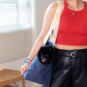 ADC Houndstone & Co. Transportadora Tipo Bolso Abierto de Lona Color Azul para Perro, Unitalla ADC Houndstone & Co. Transportadora Tipo Bolso Abierto de Lona Color Azul para Perro, Unitalla