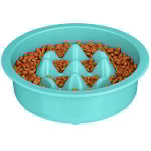 Neater Pet Brands Tazón Slow Feeder Modelo Niner Color Aqua para Perro, 1 Pieza Neater Pet Brands Tazón Slow Feeder Modelo Niner Color Aqua para Perro, 1 Pieza