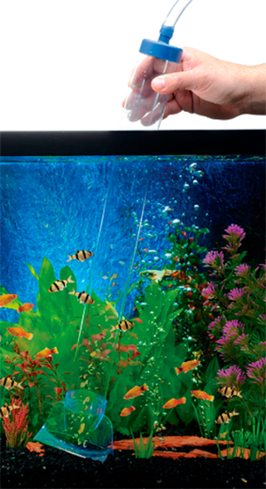 Penn Plax Sifón para Acuario, 60 cm