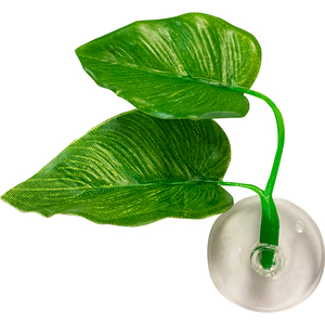 Penn Plax Kit de Inicio Accesorios para Betta