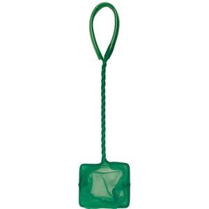 Penn Plax Kit de Inicio Accesorios para Betta