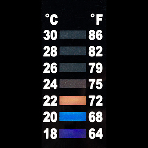 Penn Plax Kit de Inicio Accesorios para Betta