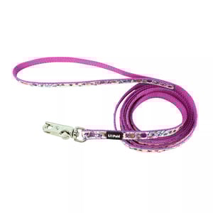 Li'l Pals Correa con Cinta Decorada Diseño Abejitas para Perro Pequeño, 1.8 m Li'l Pals Correa con Cinta Decorada Diseño Abejitas para Perro Pequeño, 1.8 m