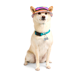 Youly Pride Sombrero Tipo Pescador Diseño Orgullo para Perro, Chico/Mediano Youly Pride Sombrero Tipo Pescador Diseño Orgullo para Perro, Chico/Mediano