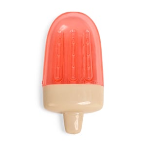 Leaps & Bounds Juguete Congelable con Forma Paleta de Hielo para Perro, Mediano