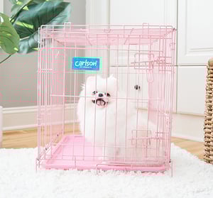 Carlson Jaula de Entrenamiento Plegable de Acero Rosa 1 Puerta con Doble Seguro para Perro, Chico Carlson Jaula de Entrenamiento Plegable de Acero Rosa 1 Puerta con Doble Seguro para Perro, Chico