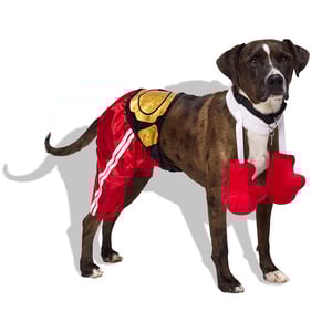 Bootique Halloween Disfraz Boxeador para perro, Grande/X-Grande Bootique Halloween Disfraz Boxeador para perro, Grande/X-Grande