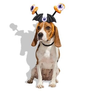 Bootique Halloween Disfraz Diadema de Ojos para perro, Grande/X-Grande