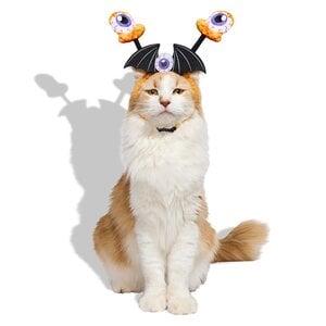 Bootique Halloween Disfraz Diadema de Ojos para perro, Grande/X-Grande