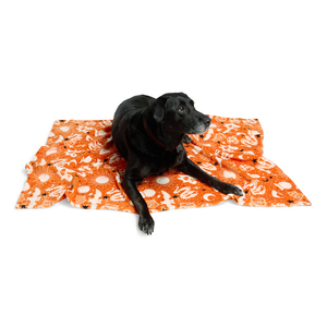Bootique Halloween Cobija de Felpa Estampado de Hechizos para Perro, Unitalla