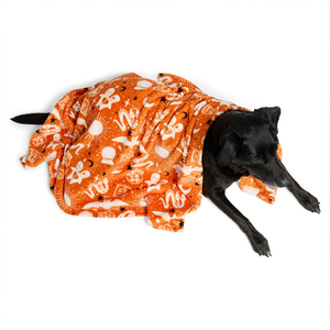 Bootique Halloween Cobija de Felpa Estampado de Hechizos para Perro, Unitalla