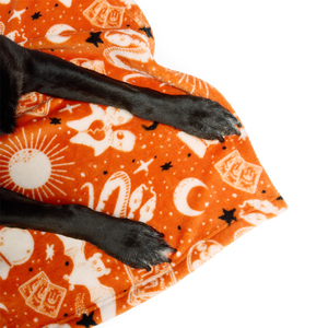 Bootique Halloween Cobija de Felpa Estampado de Hechizos para Perro, Unitalla