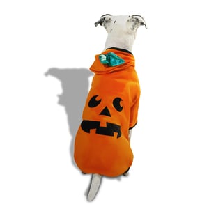 Bootique Halloween Sudadera Calabaza para Perro, Mediano Bootique Halloween Sudadera Calabaza para Perro, Mediano