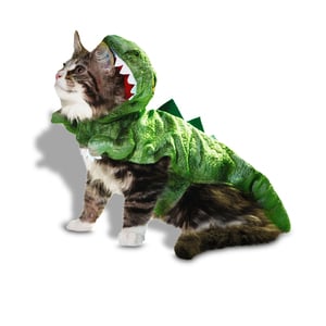 Bootique Halloween Disfraz Dinosaurio para Perro, X-Chico