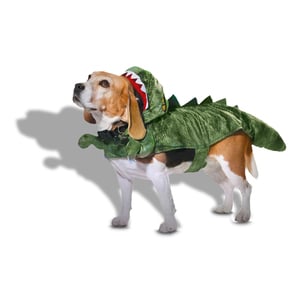 Bootique Halloween Disfraz Dinosaurio para Perro, X-Chico Bootique Halloween Disfraz Dinosaurio para Perro, X-Chico
