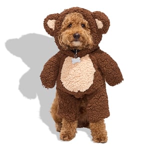 Bootique Halloween Disfraz Osito para Perro, Mediano Bootique Halloween Disfraz Osito para Perro, Mediano