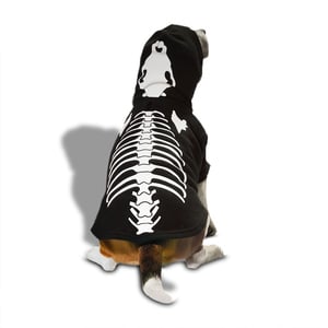 Bootique Halloween Sudadera Esqueleto Brilla en la Oscuridad para Perro, Mediano Bootique Halloween Sudadera Esqueleto Brilla en la Oscuridad para Perro, Mediano