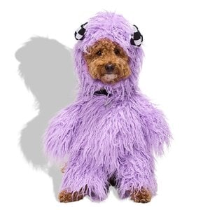 Bootique Halloween Disfraz de Monstruo para Perro, Mediano