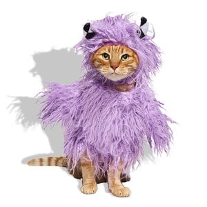 Bootique Halloween Disfraz de Monstruo para Perro, Mediano