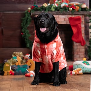 Latipaw Holiday Chamarra a Cuadros Color Rojo para Perro, X-Grande Latipaw Holiday Chamarra a Cuadros Color Rojo para Perro, X-Grande