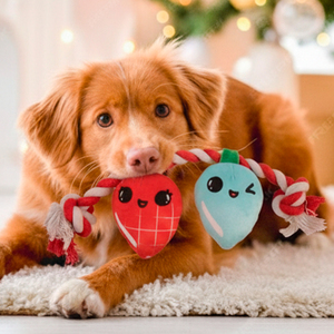 Latipaw Holiday Juguete de Cuerda con Focos Navideños de Peluche para Perro, Chico Latipaw Holiday Juguete de Cuerda con Focos Navideños de Peluche para Perro, Chico