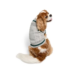 Reddy Fall Apparel Suéter Preppy con Parche de Tigre para Perro, Mediano Reddy Fall Apparel Suéter Preppy con Parche de Tigre para Perro, Mediano
