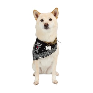 Reddy Fall Apparel Bandana Negra con Estampado Ride or Die para Perro, Chico/Mediano Reddy Fall Apparel Bandana Negra con Estampado Ride or Die para Perro, Chico/Mediano