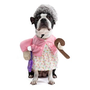 Bootique Halloween Disfraz Abuelita para Perro, Chico