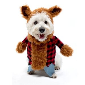 Bootique Halloween Disfraz Hombre Lobo para Perro, Mediano