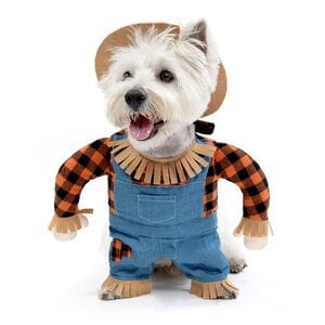 Bootique Halloween Disfraz Espantapájaros para Perro, Mediano