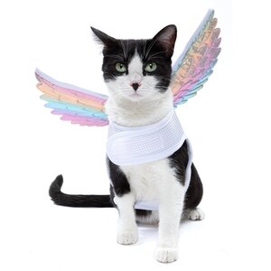 Bootique Halloween Disfraz de Ángel para Gato, Chico/Mediano
