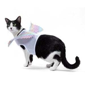 Bootique Halloween Disfraz de Ángel para Gato, Chico/Mediano