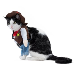 Bootique Halloween Disfraz de Vaquero para Gato, Chico/Mediano