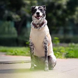 Fabdog Fall Suéter Chestnuts Color Beige con Patrón Tribal para Perro, Grande Fabdog Fall Suéter Chestnuts Color Beige con Patrón Tribal para Perro, Grande