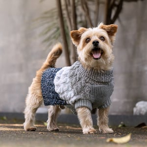 Youly The Charismatic Suéter Mauri Color Naranja para Perro, Mediano Youly The Charismatic Suéter Mauri Color Naranja para Perro, Mediano