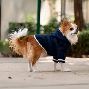 Fabdog Fall Suéter Cozy de Punto Grueso Color Azul para Perro, Mediano Fabdog Fall Suéter Cozy de Punto Grueso Color Azul para Perro, Mediano