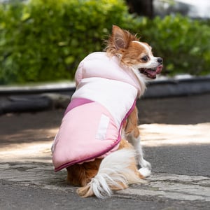 Youly The Charismatic Chamarra Puffer Color Rosa para Perro, X-Grande Youly The Charismatic Chamarra Puffer Color Rosa para Perro, X-Grande