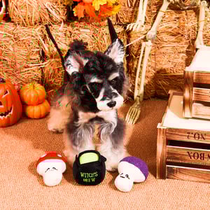 HugSmart Halloween Set de Peluches Diseño Poción de Hongos para Perro, Chico