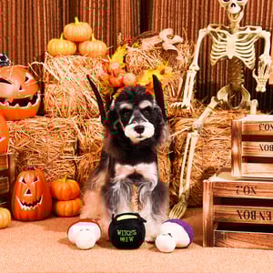 HugSmart Halloween Set de Peluches Diseño Poción de Hongos para Perro, Chico HugSmart Halloween Set de Peluches Diseño Poción de Hongos para Perro, Chico