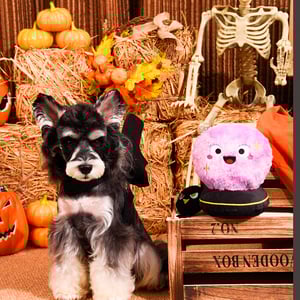 HugSmart Halloween Peluche Rompecabezas Diseño Bola de Cristal para Perro, Mediano HugSmart Halloween Peluche Rompecabezas Diseño Bola de Cristal para Perro, Mediano