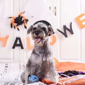 HugSmart Halloween Vampiro de Peluche con Pelota Interior para Perro, Mediano