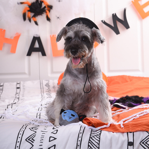 HugSmart Halloween Vampiro de Peluche con Pelota Interior para Perro, Mediano HugSmart Halloween Vampiro de Peluche con Pelota Interior para Perro, Mediano