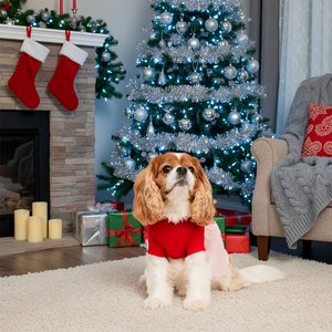 Merry Makings Holiday Vestido con Tutú y Estampado Sugar Plum para Perro, Chico Merry Makings Holiday Vestido con Tutú y Estampado Sugar Plum para Perro, Chico
