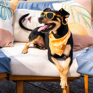 Pose Pets Navigator Lentes Protección UV Tipo Wayfarer Color Amarillo para Perro, Chico Pose Pets Navigator Lentes Protección UV Tipo Wayfarer Color Amarillo para Perro, Chico