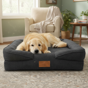 Gravity Brotherhood Cama Tipo Sillón Modelo Curri Color Negro para Perro, Grande Gravity Brotherhood Cama Tipo Sillón Modelo Curri Color Negro para Perro, Grande